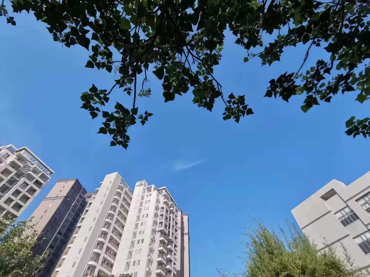 有一种蓝,足以治愈所有要启程的孤单