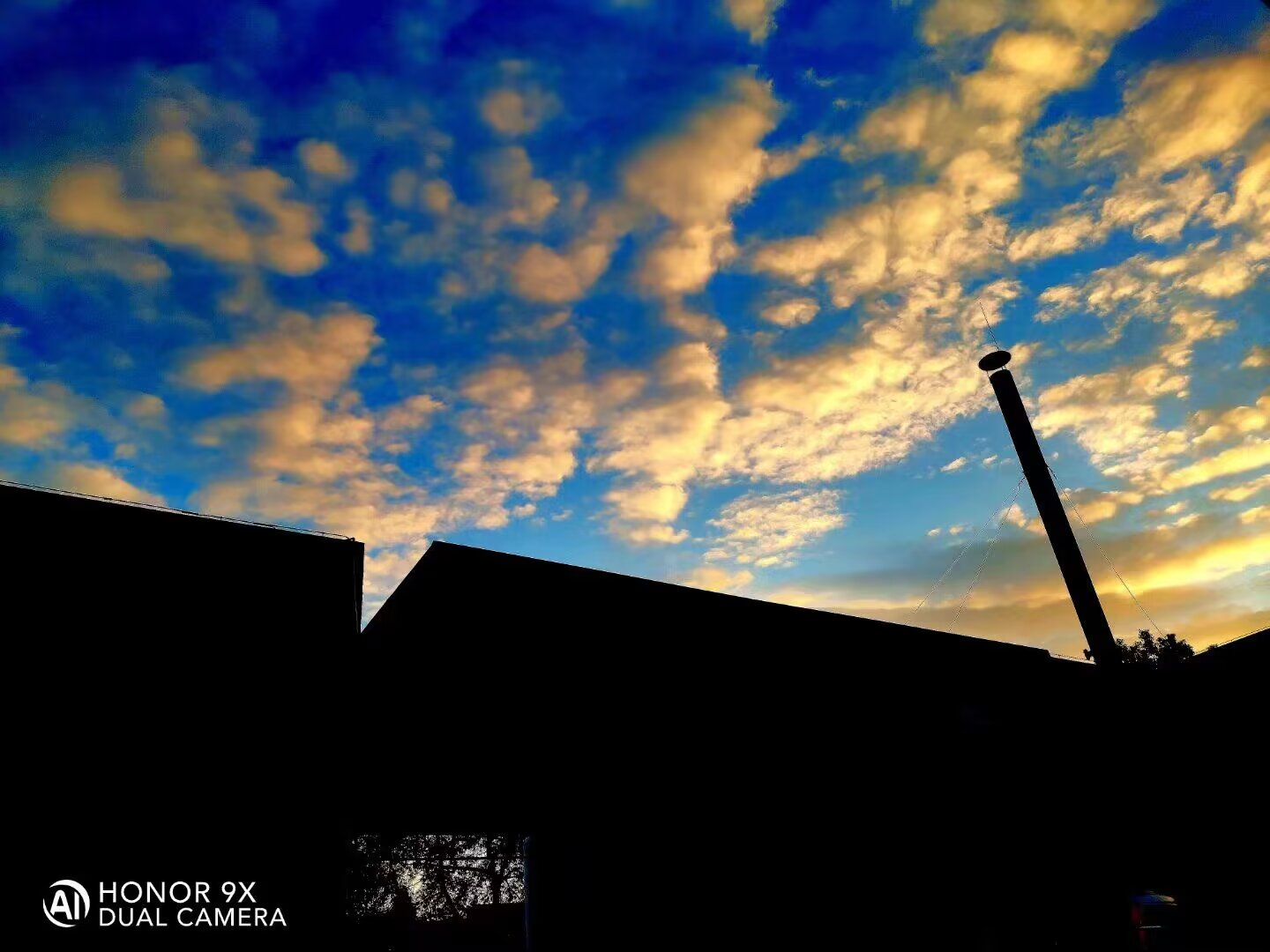 这张倒是忘记了,没有印象了。