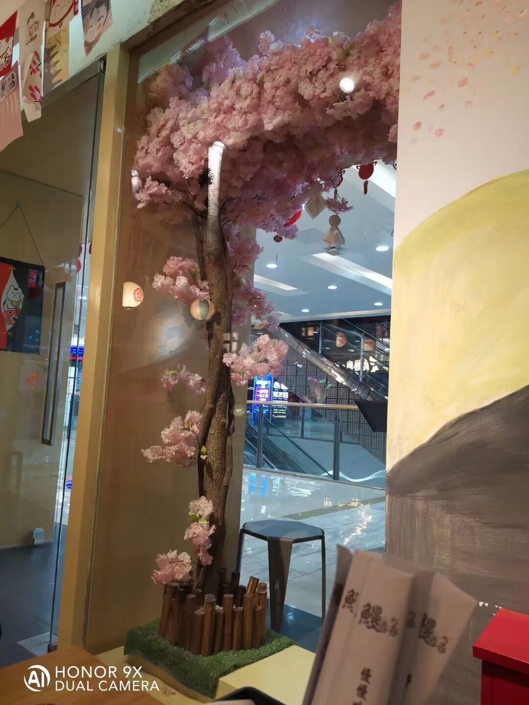 为了这一棵樱花,吃了顿寿司