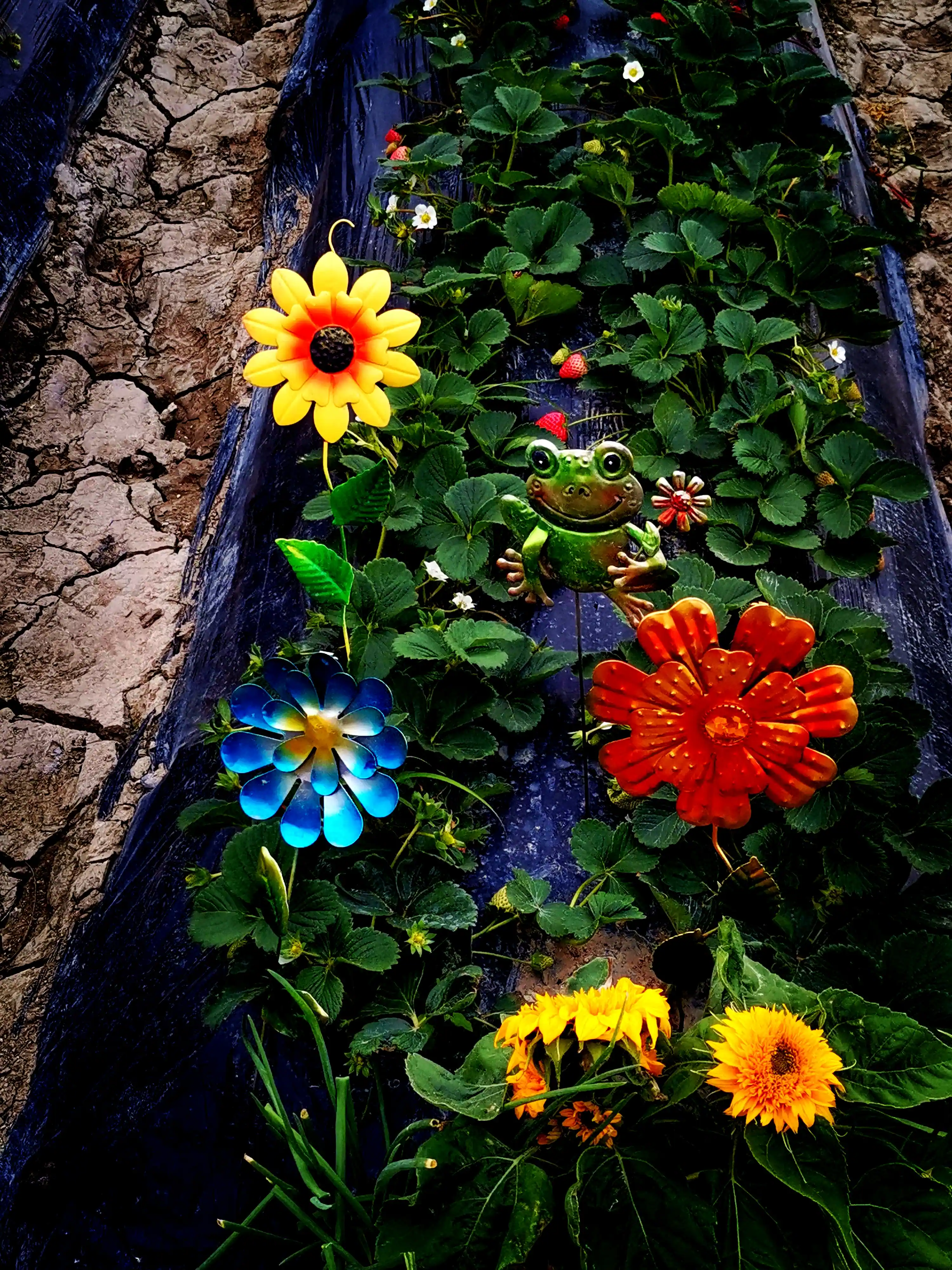 我的边界感太保守？